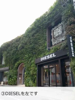 ルーチェマウスピース矯正歯科への道のり