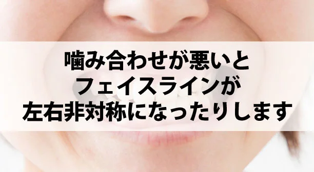 歯のメカニズム