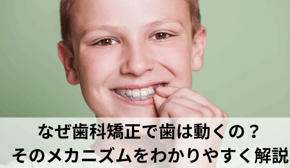 歯科矯正で歯が少しずつ動く仕組みを解説　アイキャッチ